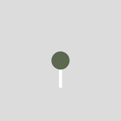 Random circle