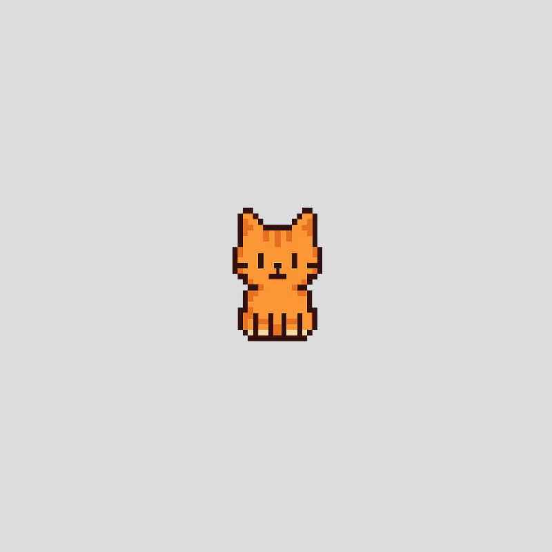 Cat sitting