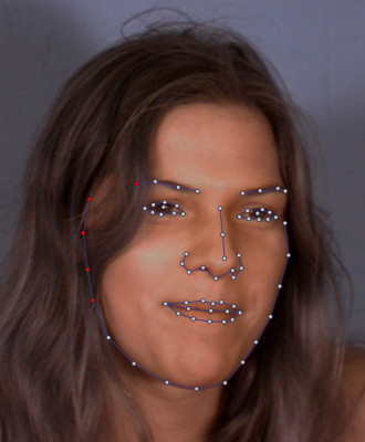 Sentiment analysis