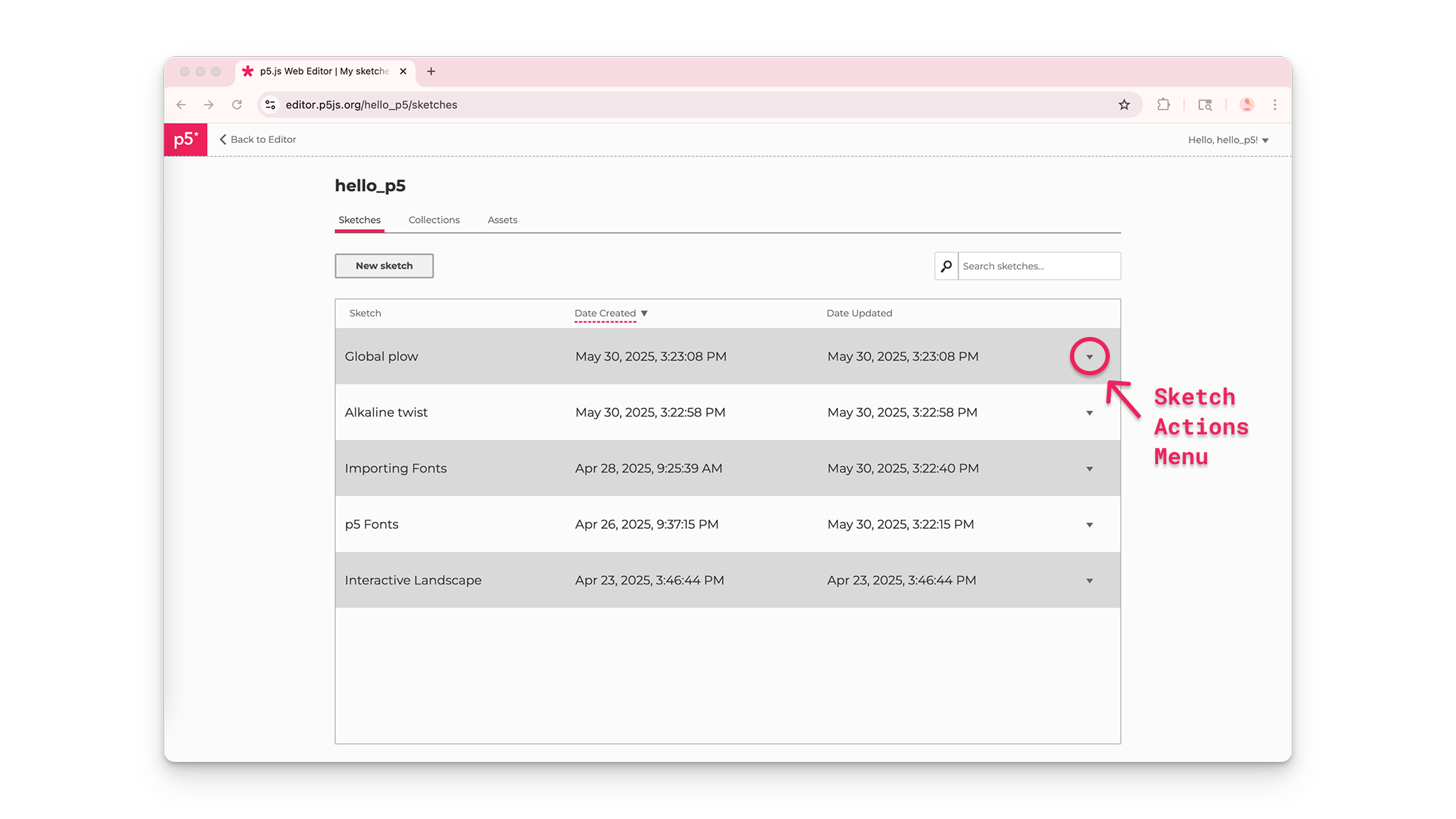 p5.js Editor download sketch