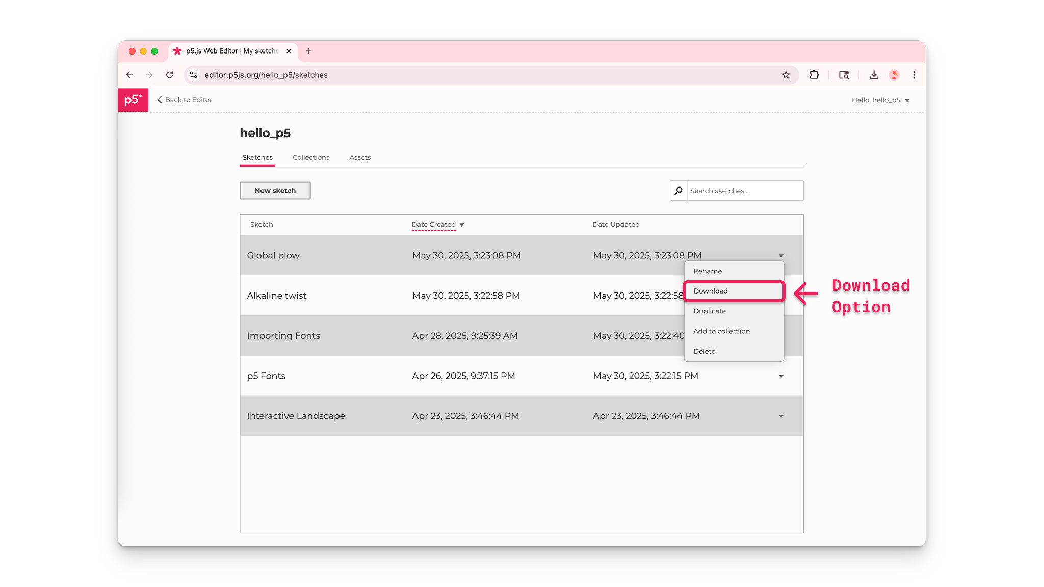 p5.js Editor download sketch