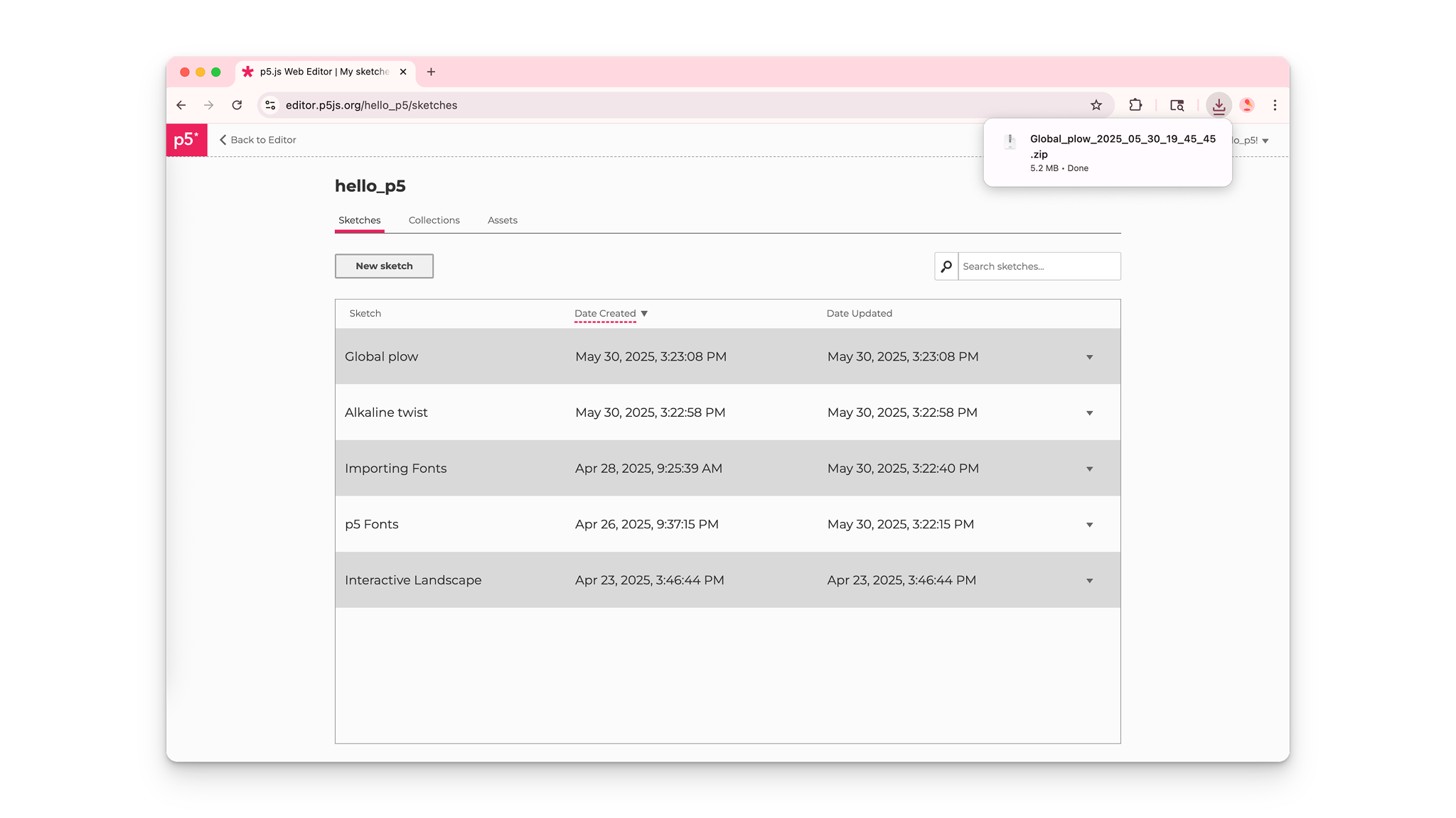 p5.js Editor download sketch